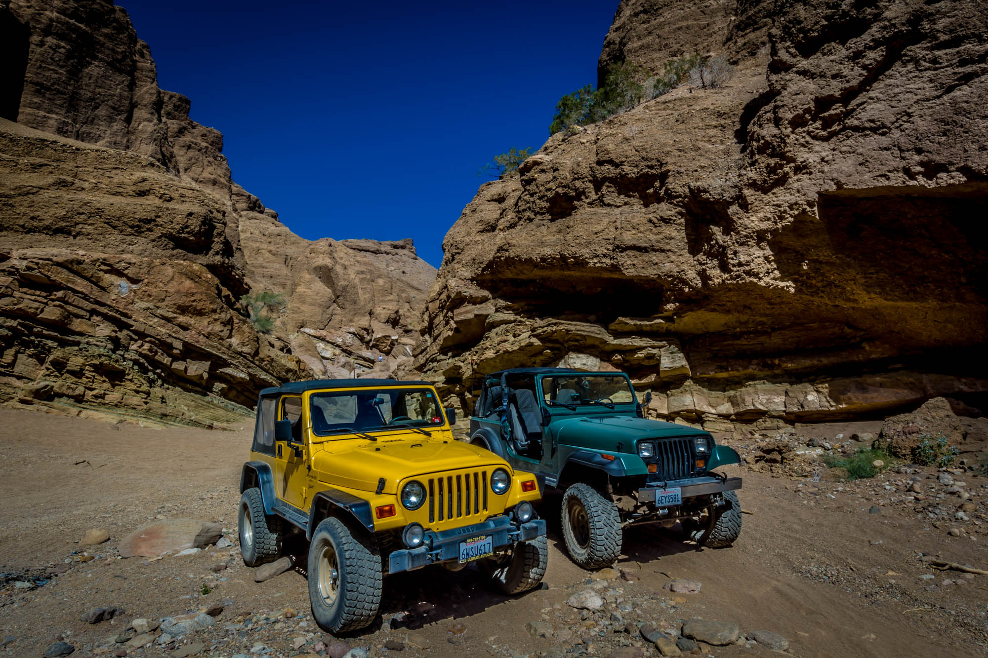 El dorado mckinney jeep #5